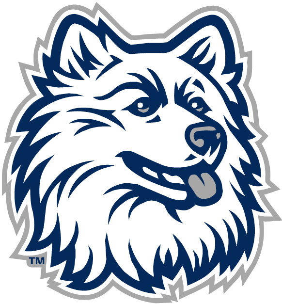 UConn Huskies 1996-2012 Alternate Logo v2 DIY iron on transfer (heat transfer)